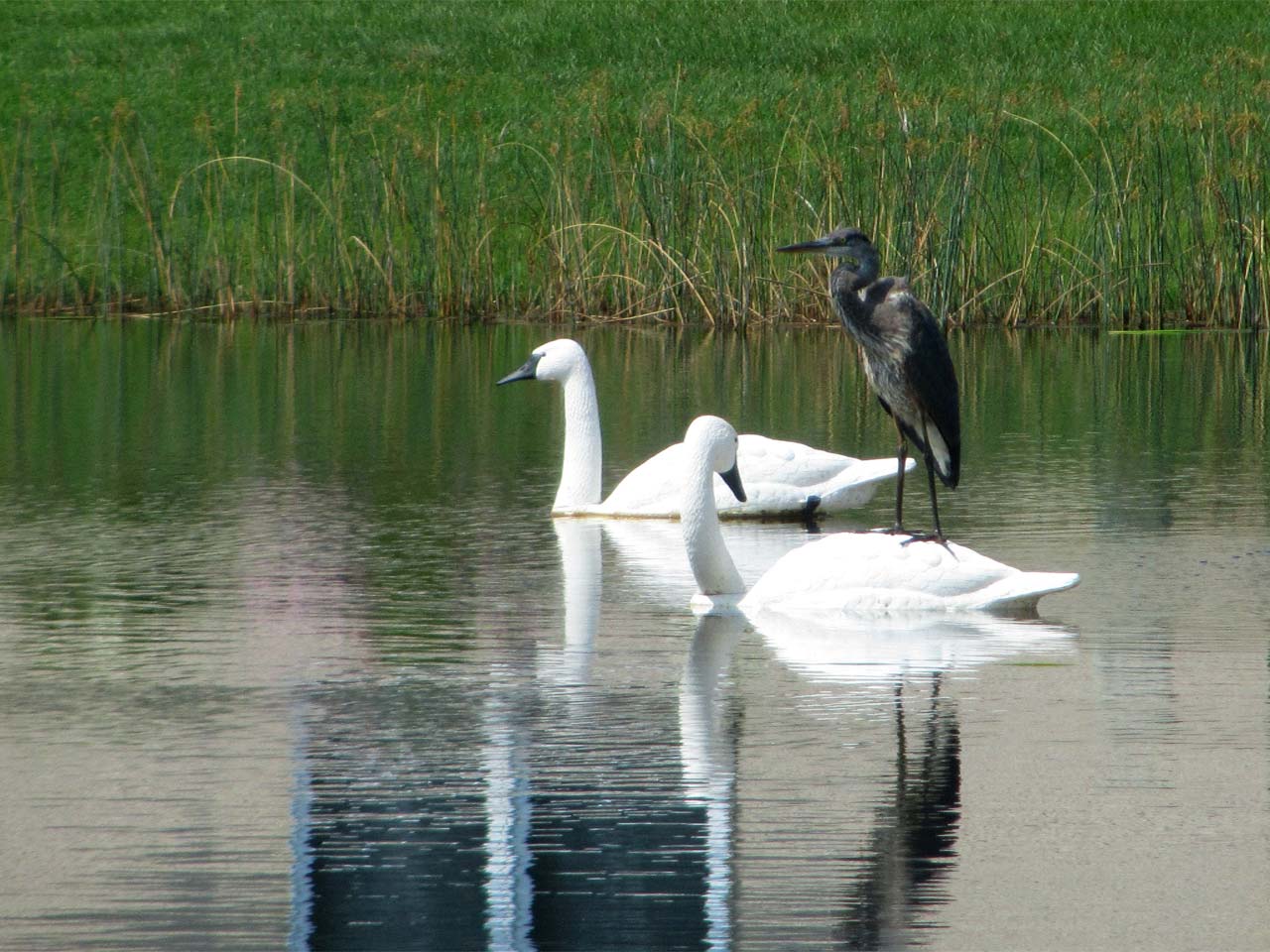 622-energie-optrekken