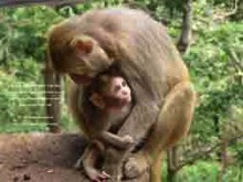 channeling, awareness,