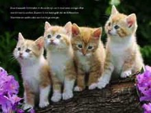 mother earth, divine plan, god