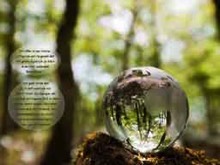 wereldbol, bos, hogere zelf, eenheid, eenheidsenergie, liefde,