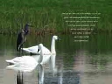 light bearers, high, energy,